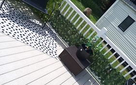 Lunas Chill Pad